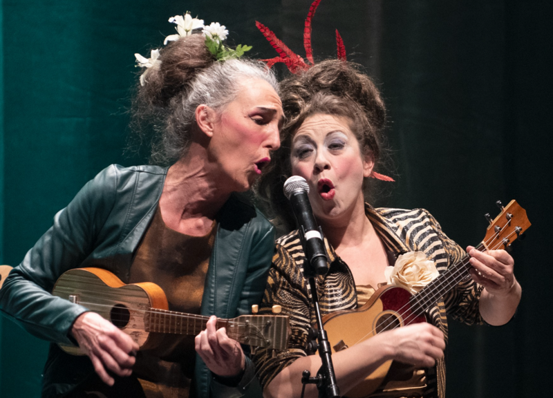 Le périple de Laurette & Arlette - duo de femmes clowns et musiciennes