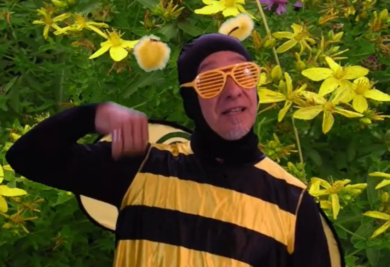 L'enchantement des abeilles - Mario Le Breton