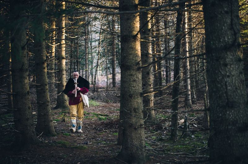 Animations dans la nature