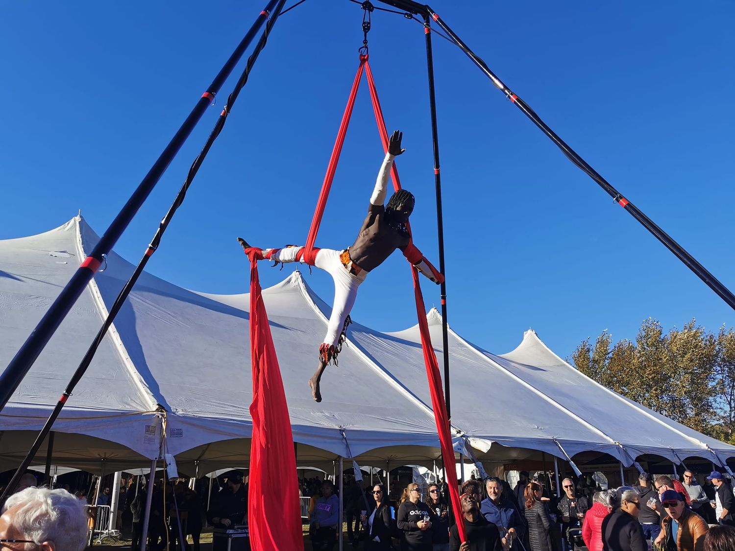 Spectacle Aérien Époustouflant – Un Voyage au Cœur de la Gravité !