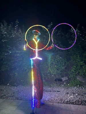 ANIMATIONS LUMINEUSES