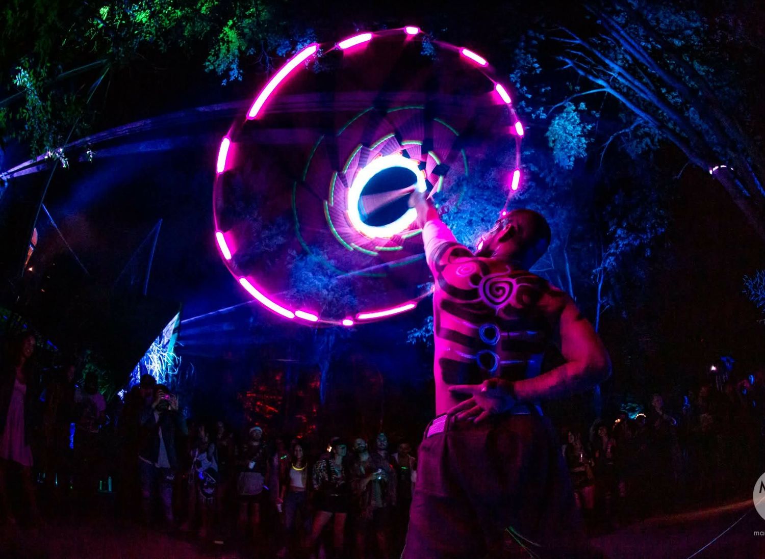 Fernando : Performance Led