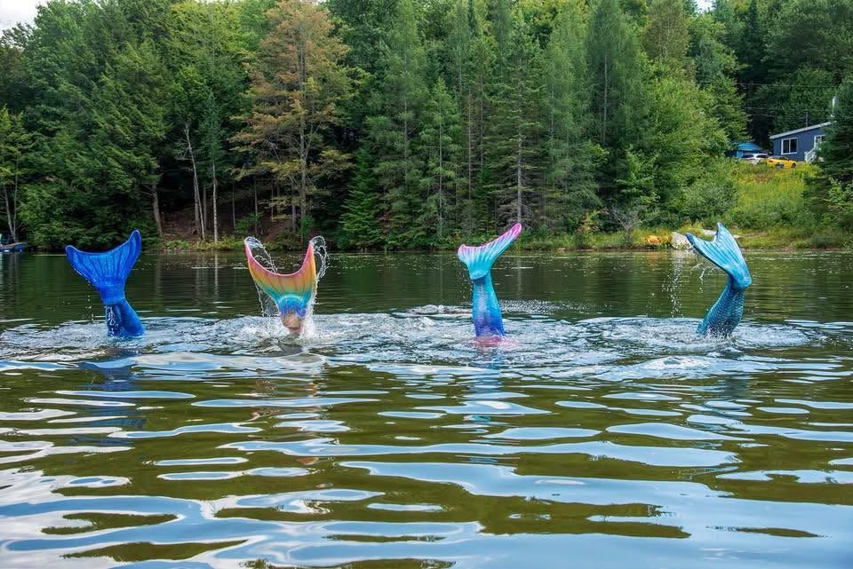 Animations Sirènes – Un univers magique entre musique, mouvement et découverte