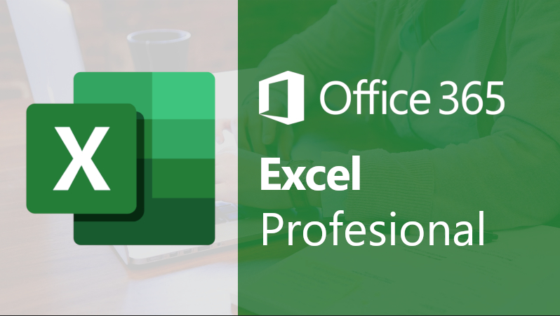 Office 365: Excel Profesional