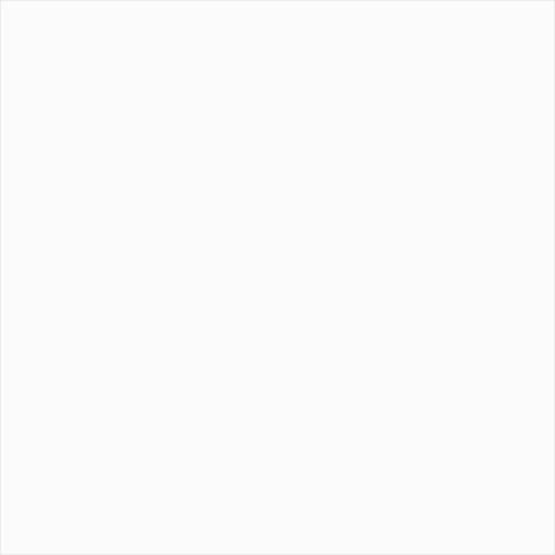 MATT WHITE  (250MM pack of 5)