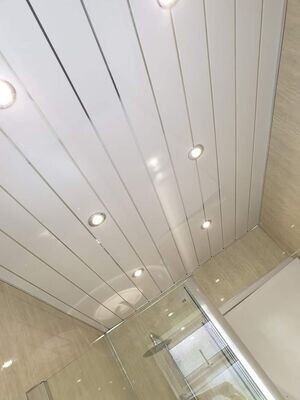 CEILING CLADDING