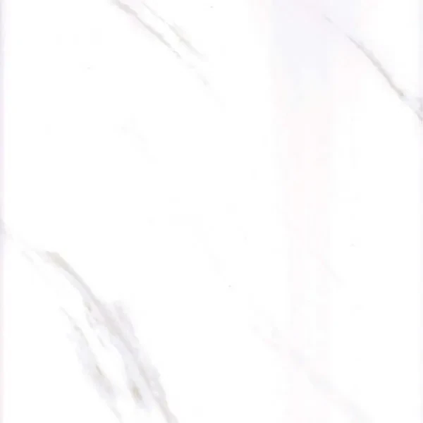 LARGE GLOSS CARRERA (900mm)