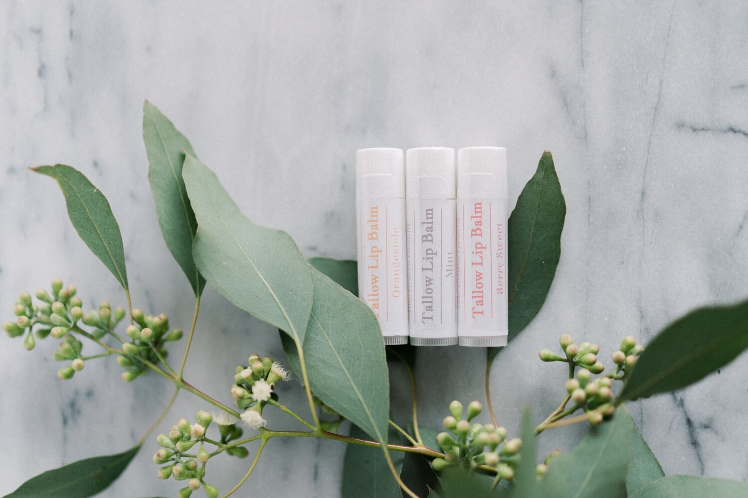 Tallow Lip Balms