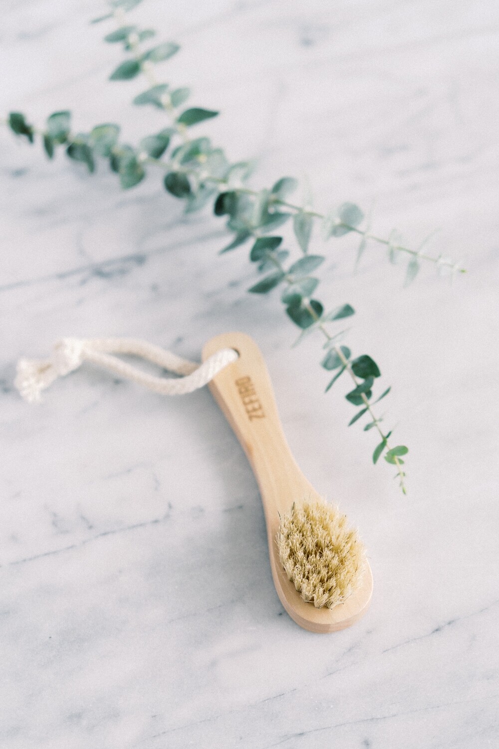 Facial Dry Brush