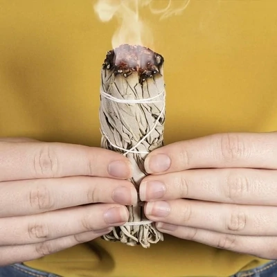Sage 3 pack of 4"