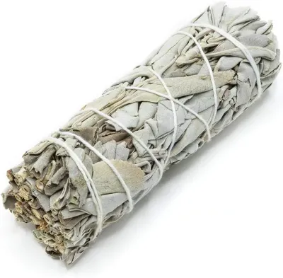 Sage 3 pack of 4"