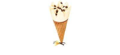 Regular - Vanilla