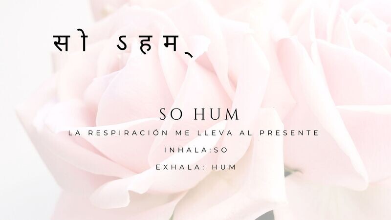 MEDITACIONES GUIADAS CON MANTRAS: ADQUIERE CADA MEDITACIÓN POR 5€ O EL PACK DE 3 MEDITACIONES POR 12€:
1. BIJA MANTRAS
2.MEDITACIÓN GUIADA CON EL MANTRA OM MANI PADME HUM
3. MEDITACIÓN SO HUM MEDITACIONES GUIADAS CON MANTRAS: ADQUIERE CADA MEDITACIÓN POR 5€ O EL PACK DE 3 MEDITACIONES POR 12€:
1. BIJA MANTRAS
2.MEDITACIÓN GUIADA CON EL MANTRA OM MANI PADME HUM
3. MEDITACIÓN SO HUM