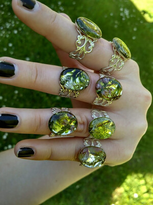 Forest rings