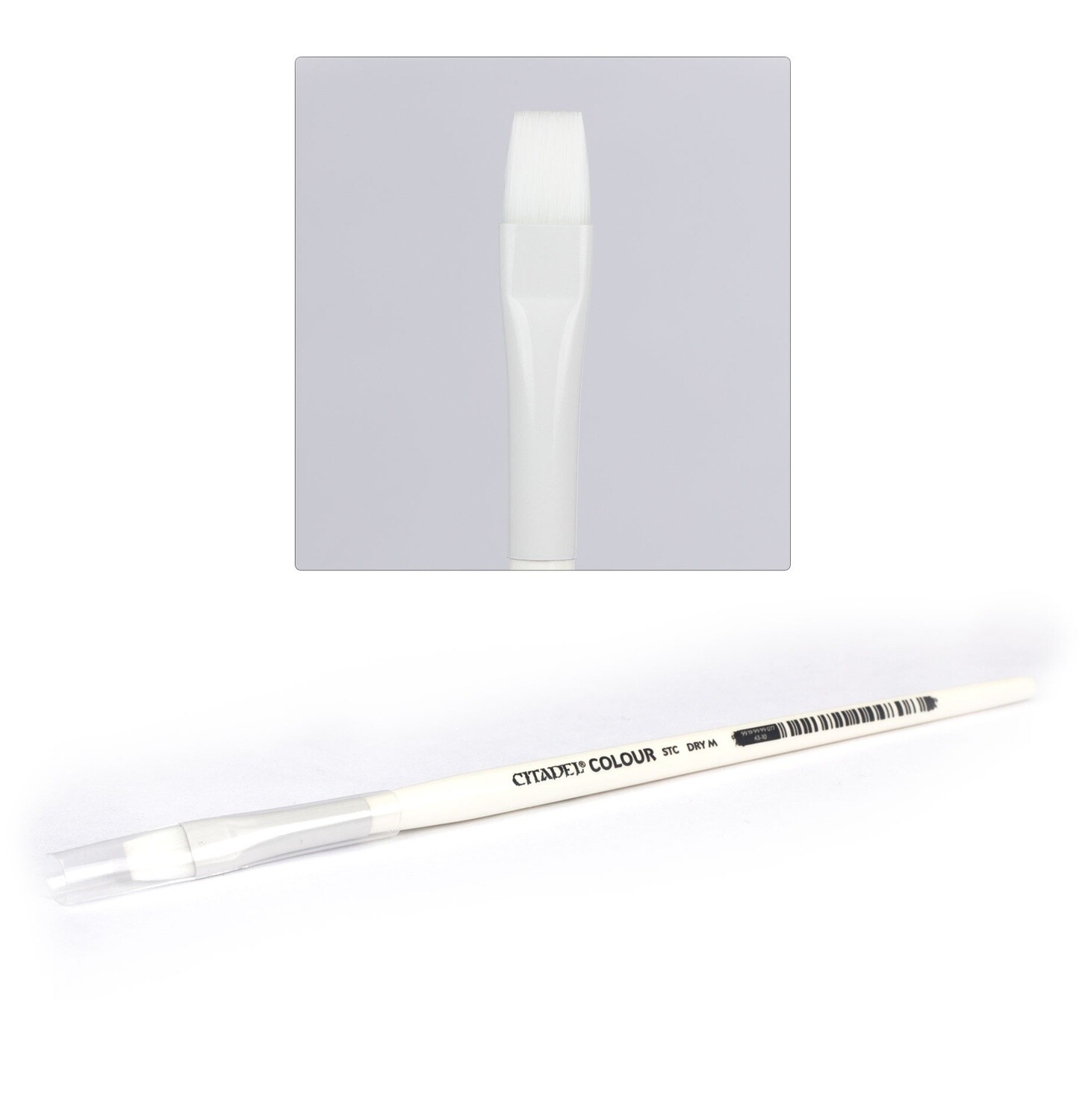 CITADEL Synthetic STC Medium Dry Brush