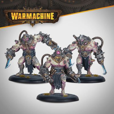 Warmachine: Criterions Unit