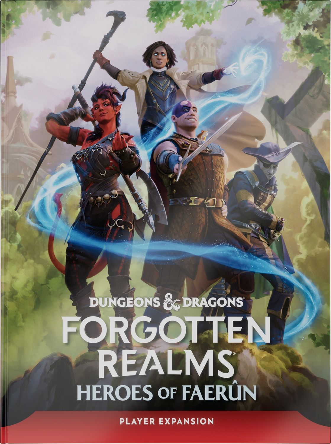 Dungeons &amp; Dragons: Forgotten Realms Heroes of Faerun