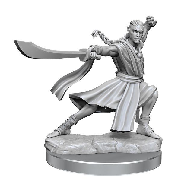 D&amp;D Frameworks: Wave 1- Elf Monk Male