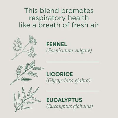 TRADITIONAL MEDICINALS , Breathe Easy Tea