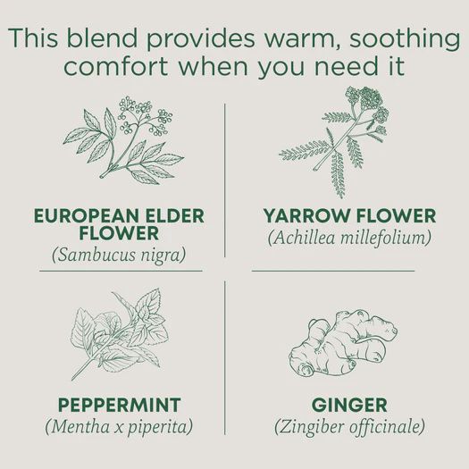 TRADITIONAL MEDICINALS , Herbal Cold Care Tea