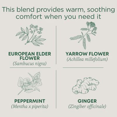 TRADITIONAL MEDICINALS , Herbal Cold Care Tea