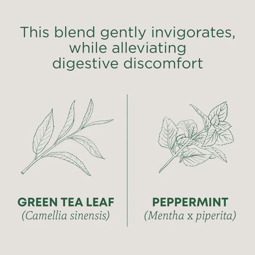 TRADITIONAL MEDICINALS , Organic Green Tea Peppermint
