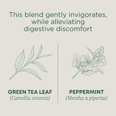 TRADITIONAL MEDICINALS , Organic Green Tea Peppermint