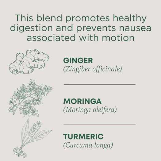 TRADITIONAL MEDICINALS , Ginger Aid Tea