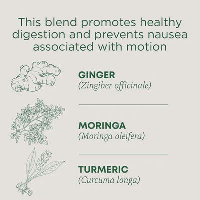 TRADITIONAL MEDICINALS , Ginger Aid Tea