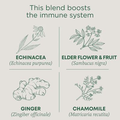 TRADITIONAL MEDICINALS , Echinacea Plus Elderberry Tea