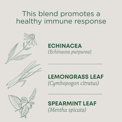 TRADITIONAL MEDICINALS , Echinacea Plus Tea