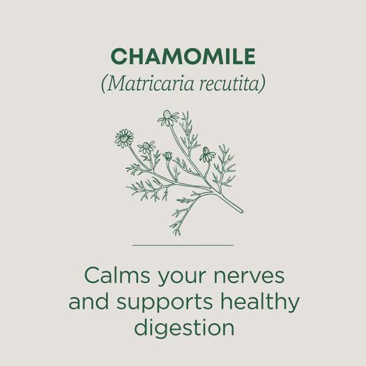 TRADITIONAL MEDICINALS , Chamomile Tea