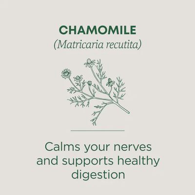 TRADITIONAL MEDICINALS , Chamomile Tea