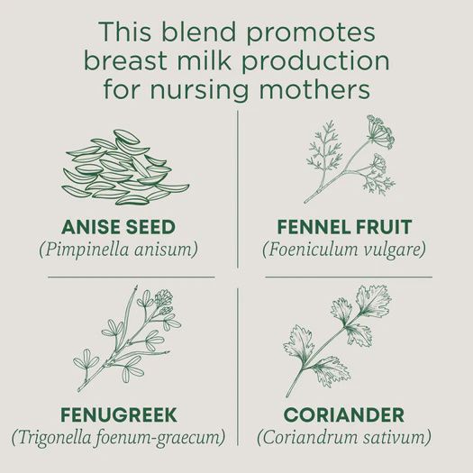 TRADITIONAL MEDICINALS , Mother's Milk Tea