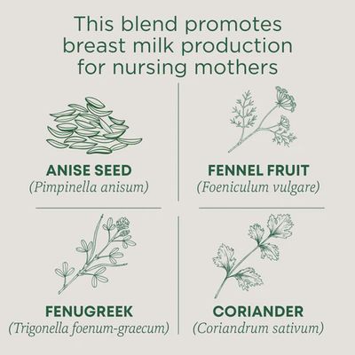TRADITIONAL MEDICINALS , Mother's Milk Tea