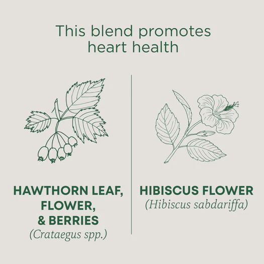 TRADITIONAL MEDICINALS , Hawthorn & Hibiscus Tea