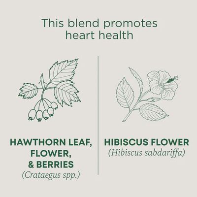 TRADITIONAL MEDICINALS , Hawthorn & Hibiscus Tea