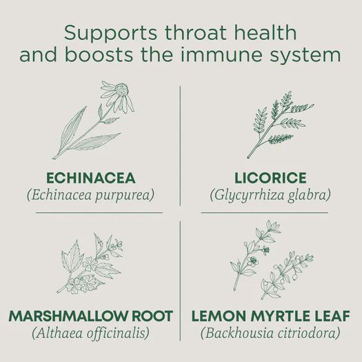 TRADITIONAL MEDICINALS , Throat Coat Lemon Echinacea Tea