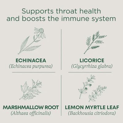 TRADITIONAL MEDICINALS , Throat Coat Lemon Echinacea Tea