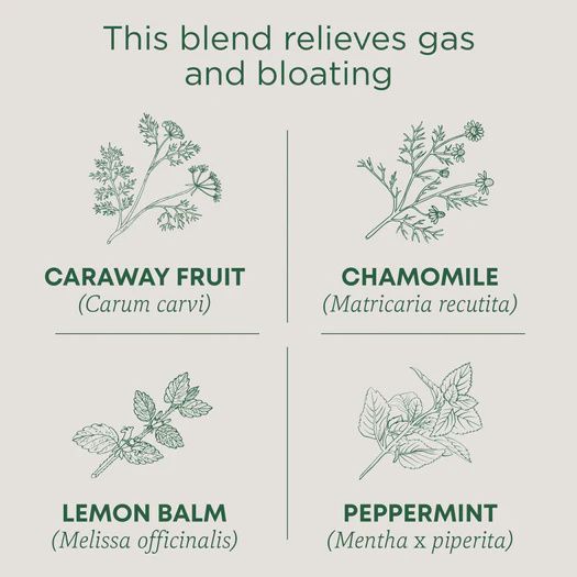 TRADITIONAL MEDICINALS , Gas Relief Tea