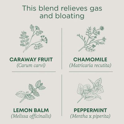 TRADITIONAL MEDICINALS , Gas Relief Tea