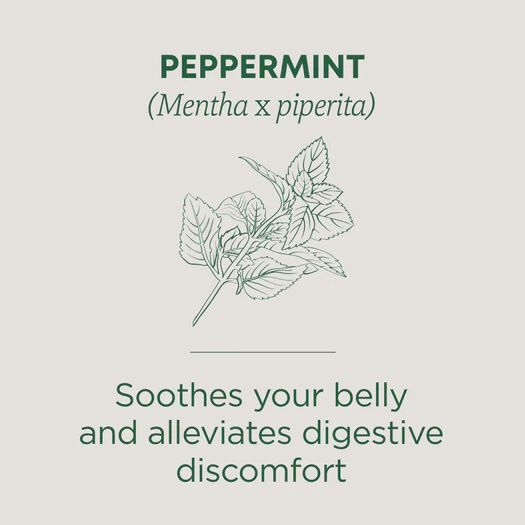 TRADITIONAL MEDICINALS , Peppermint Tea