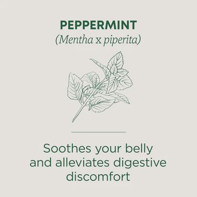 TRADITIONAL MEDICINALS , Peppermint Tea