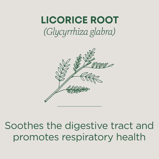 TRADITIONAL MEDICINALS , Licorice Root Tea