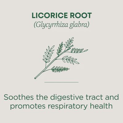 TRADITIONAL MEDICINALS , Licorice Root Tea