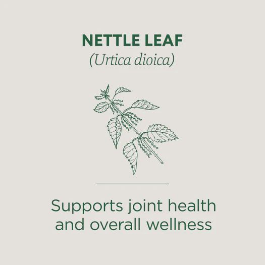 TRADITIONAL MEDICINALS , Nettle Leaf Tea