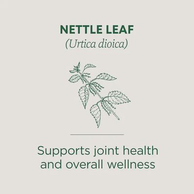 TRADITIONAL MEDICINALS , Nettle Leaf Tea