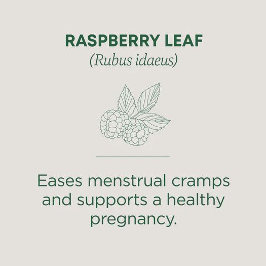 TRADITIONAL MEDICINALS , Raspberry Leaf Tea