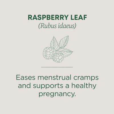 TRADITIONAL MEDICINALS , Raspberry Leaf Tea