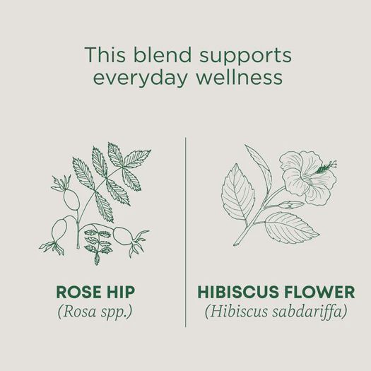 TRADITIONAL MEDICINALS , Rose Hips & Hibiscus Tea